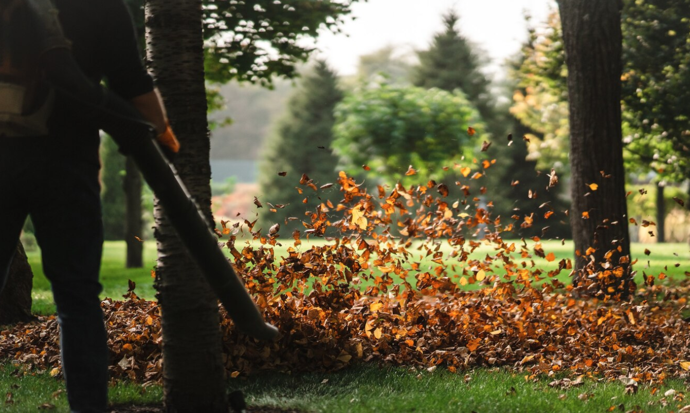 Professionelle Außenanlagenpflege und Gartenpflege
